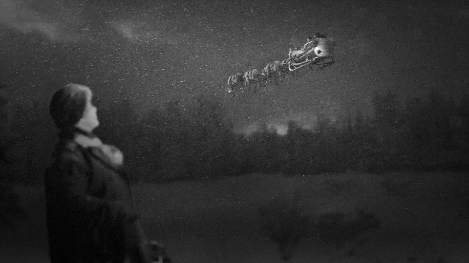 Coop 3D FX: reindeer, sled, Santa, balloon / For Storm